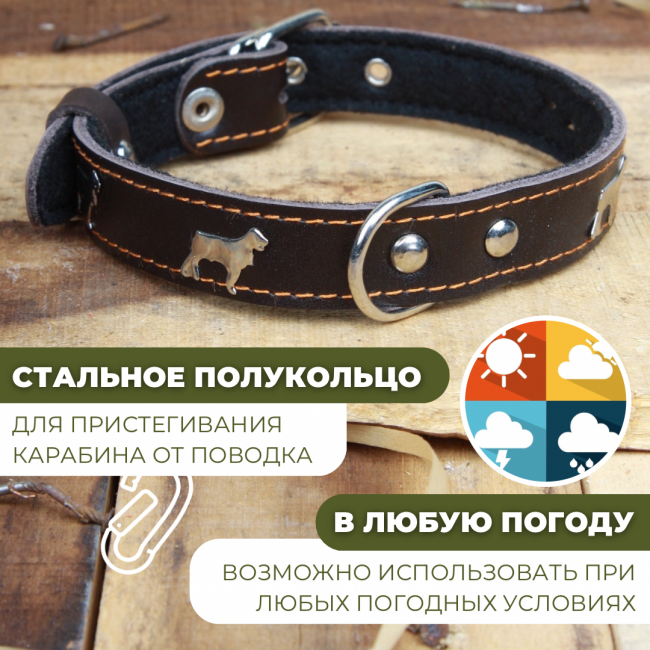 Ошейник для собак кожаный с собаками Коричневый, Обхват 31-39см, Длина 45см, Ширина 20мм