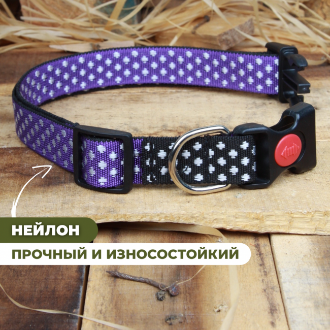 Ошейник для собак нейлоновый лапки Фиолетовый, Обхват 40-67см, Длина 70см, Ширина 20мм